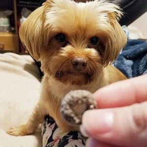 Meet your Posher, Nina